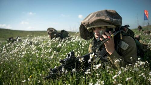 Nos soldats, nos anges